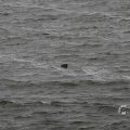 IMG_1522207