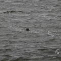 IMG_1522208