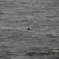 IMG_1522210