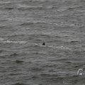 IMG_1522213