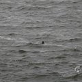 IMG_1522214