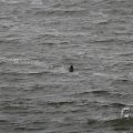 IMG_1522215