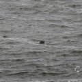 IMG_1522218