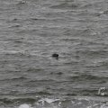 IMG_1522220