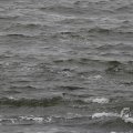 IMG_1522224