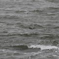 IMG_1522227