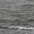 IMG_1522228