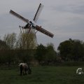 IMG_1522232