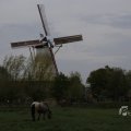 IMG_1522233