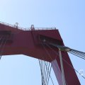 IMG_1533636