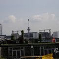 IMG_1535549