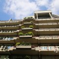 IMG_1535566