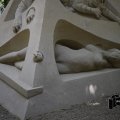 DSC33_15.06.2018