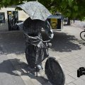 DSC54_15.06.2018