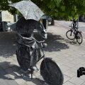 DSC55_15.06.2018