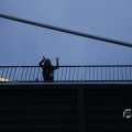 IMG_1543335