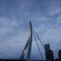 IMG_1543386