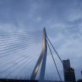 IMG_1543387