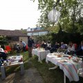 IMG_1544287