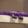 IMG_1544439
