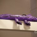 IMG_1544527