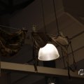 IMG_1544528