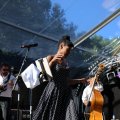 IMG_1546407