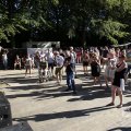 IMG_1546560