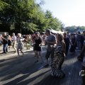 IMG_1546774