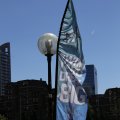 IMG_1547878