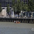IMG_1548829