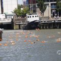 IMG_1548831