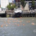 IMG_1548832