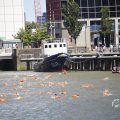 IMG_1548833