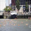 IMG_1548834