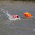 IMG_1548909