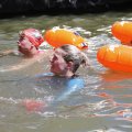 IMG_1549043
