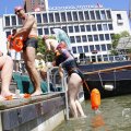 IMG_1549092