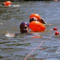 IMG_1549164