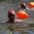 IMG_1549166