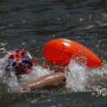IMG_1549168