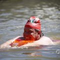 IMG_1549198