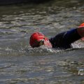 IMG_1549200