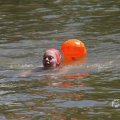 IMG_1549234