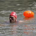IMG_1549235