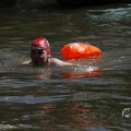 IMG_1549240