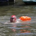 IMG_1549241