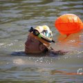 IMG_1549255
