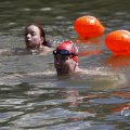 IMG_1549262