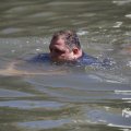 IMG_1549274